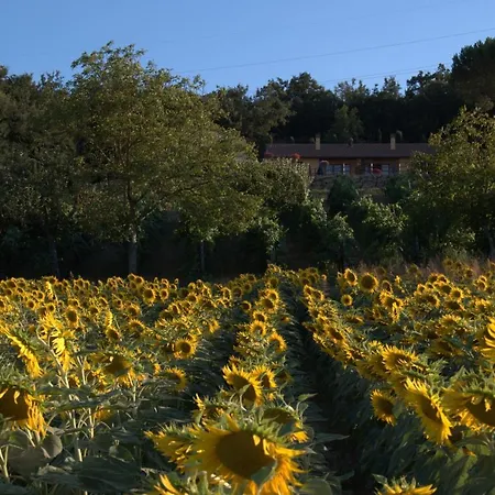 Podere Casalsole *